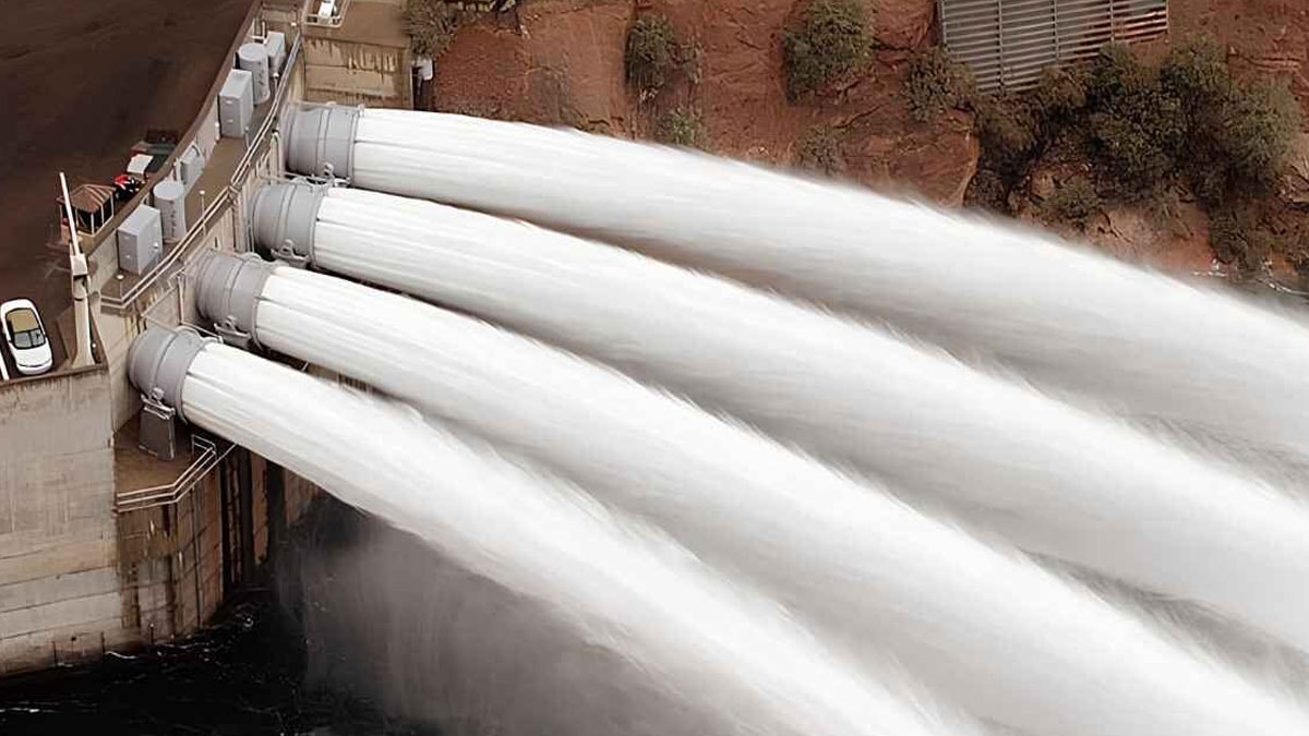 Balıkları kurtarmak isterken 25 milyon dolar buhar oldu