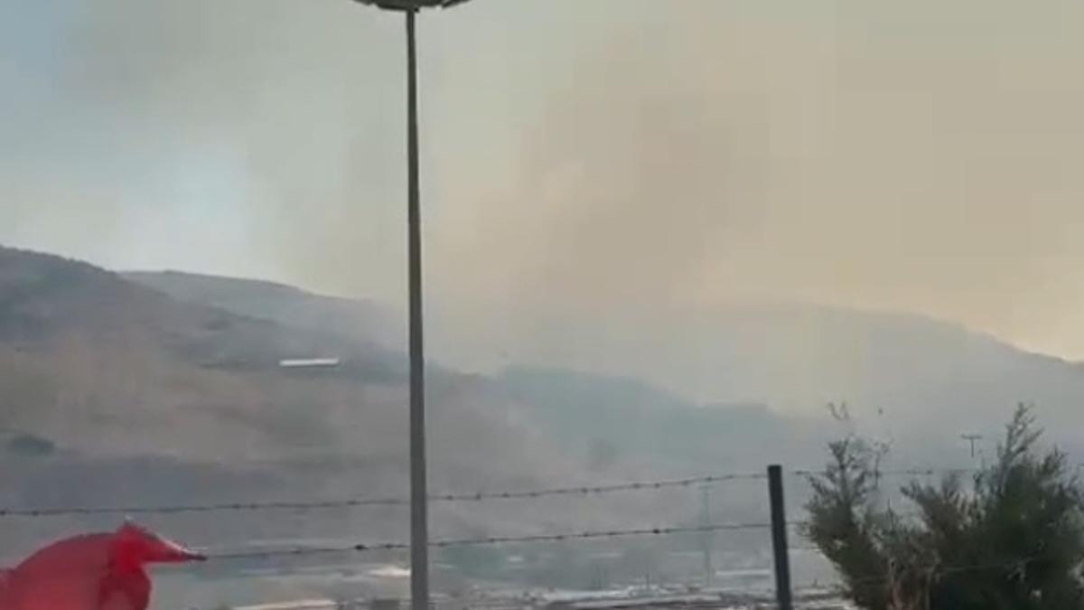 Hatay'da orman yangını çıktı