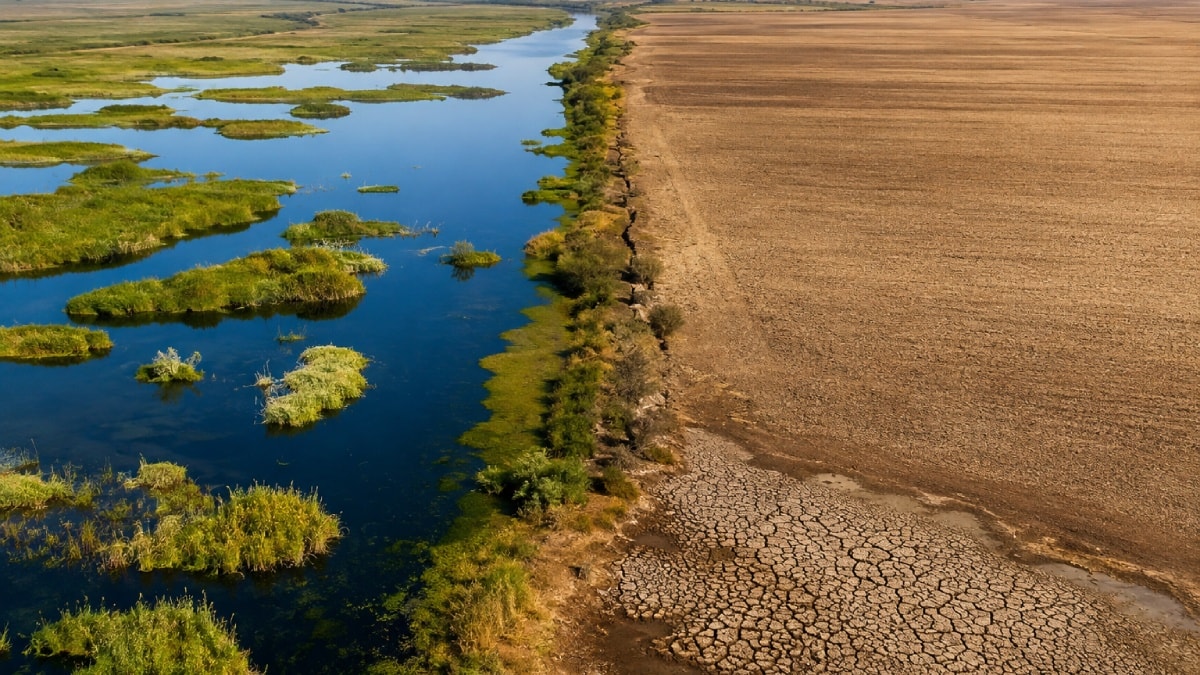 Tarla uğruna kuruttukları sulak alanın bedeli ağır oldu