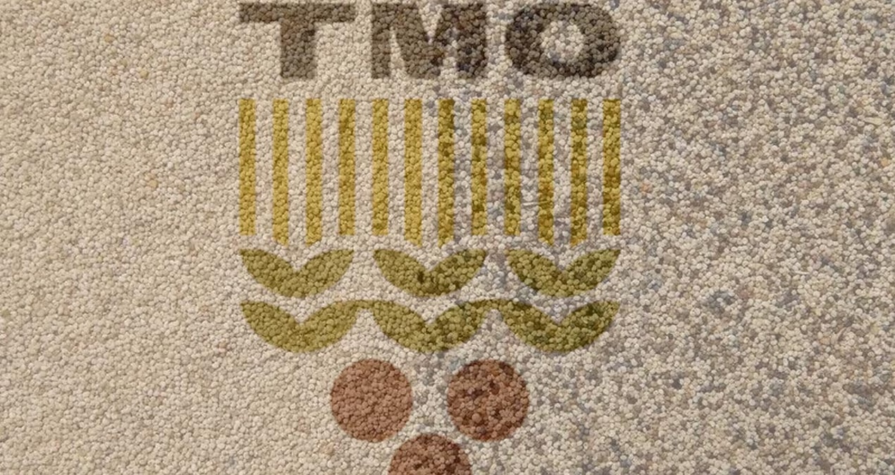 TMO İlk Kez 2026'da Haşhaş Tohumu Alacak