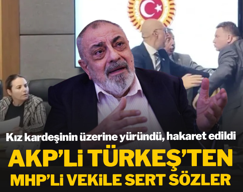AKP'li Tuğrul Türkeş'ten MHP'li vekile sert sözler