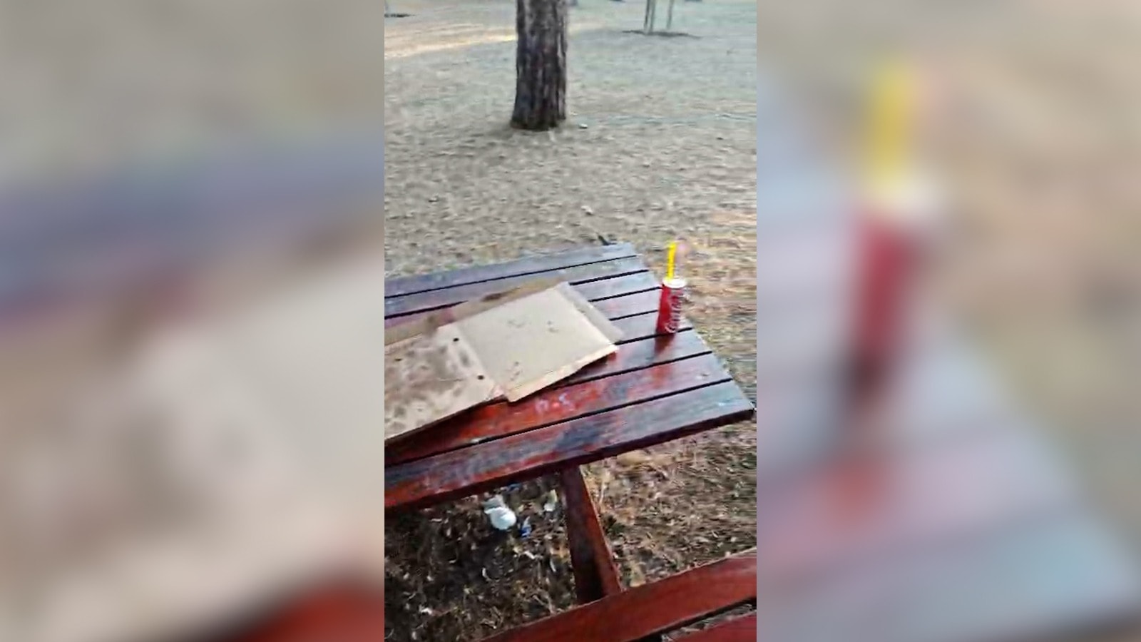 Parkı çöplüğe çevirdiler