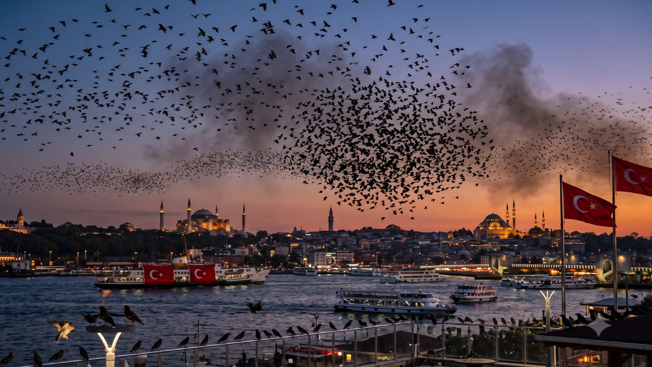 Pakistan'dan gelip İstanbul'da kabus oldular: Sayıları her geçen gün artıyor!