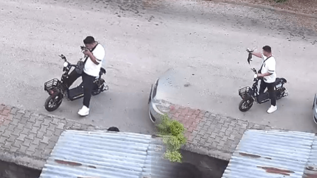 Bolu'da akılalmaz vahşet! Yavru kediyi önce öptü sonra elleriyle boğdu