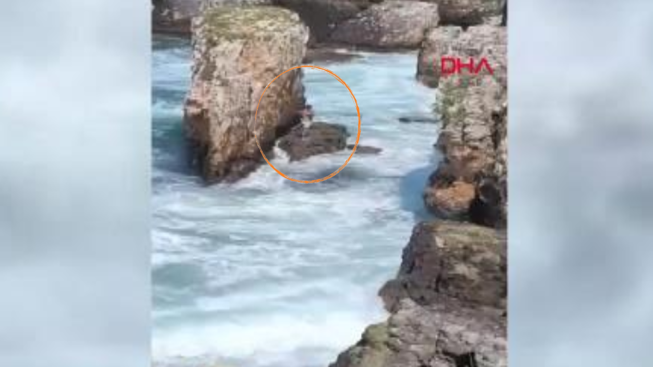 Yasağa rağmen denize girdi kayalıklarda mahsur kaldı