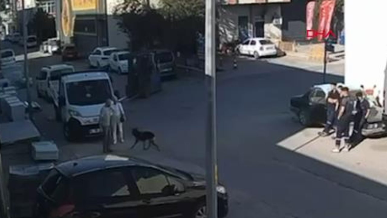 Köpekten kaçarken fenalaşan Berat öldü