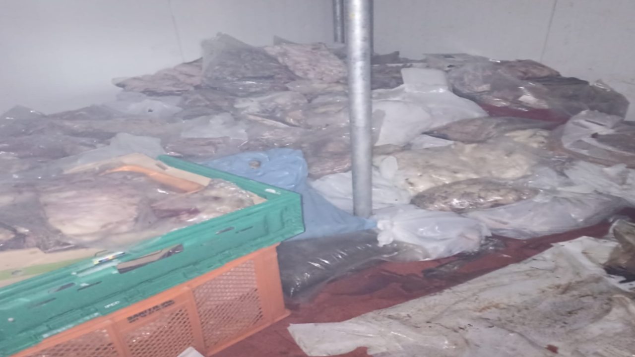 Kötü kokuyla yakalandı: 400 kilo bozuk ete el konuldu