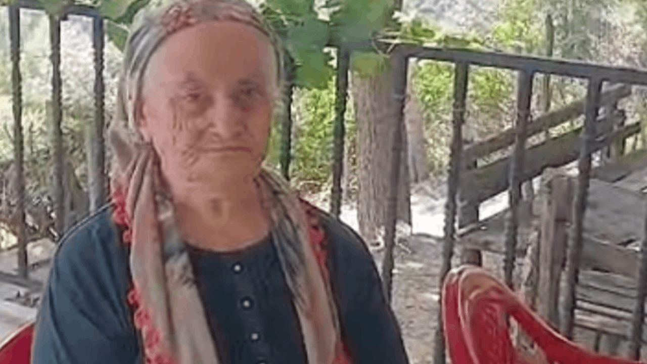 Sumak toplamak için çıkmıştı... Acı haberi geldi
