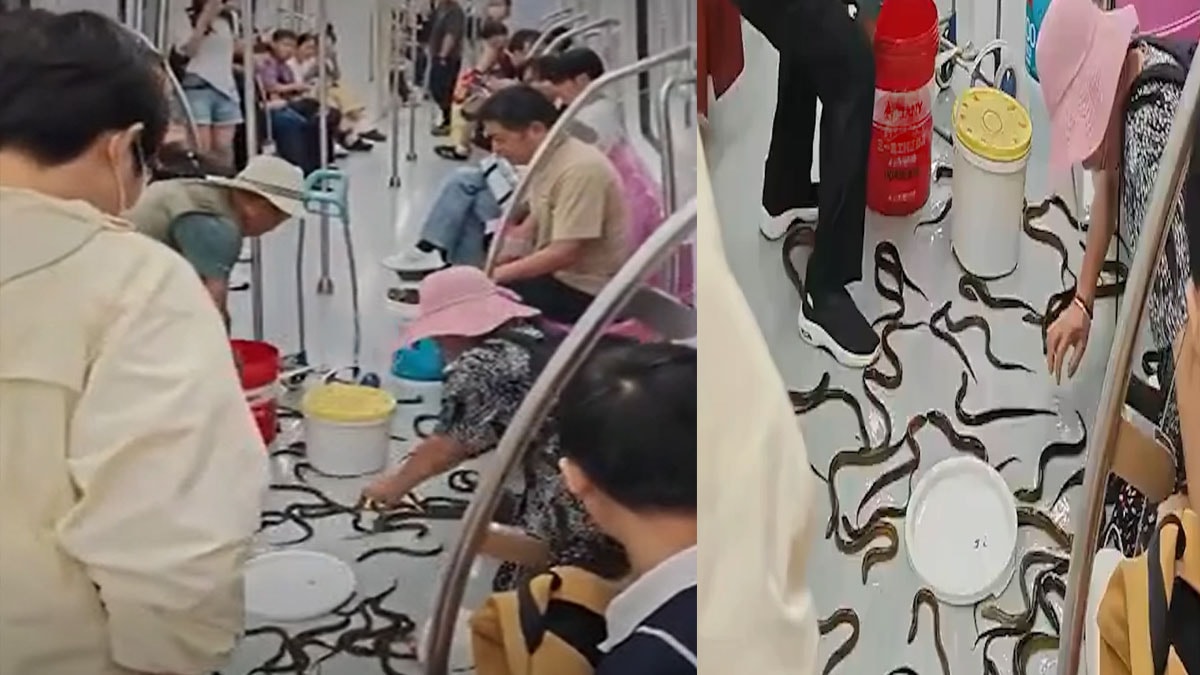 Binlercesi treni bastı panik yaşandı 