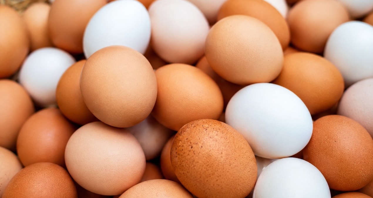 Yumurtalarda Salmonella Tehlikesi: 306 Kişi Hastanelik Oldu!