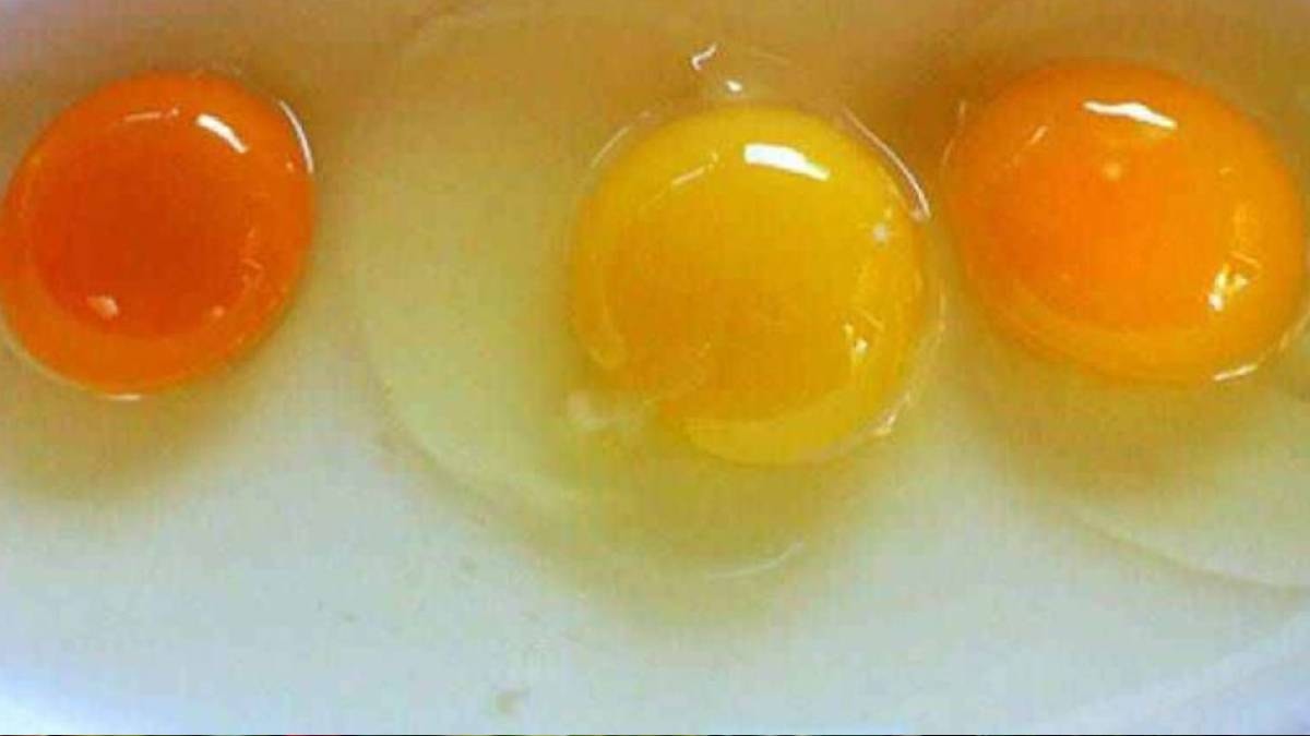 Açık sarı, koyu sarı, turuncu… Rengi böyle olan yumurtayı sakın yemeyin