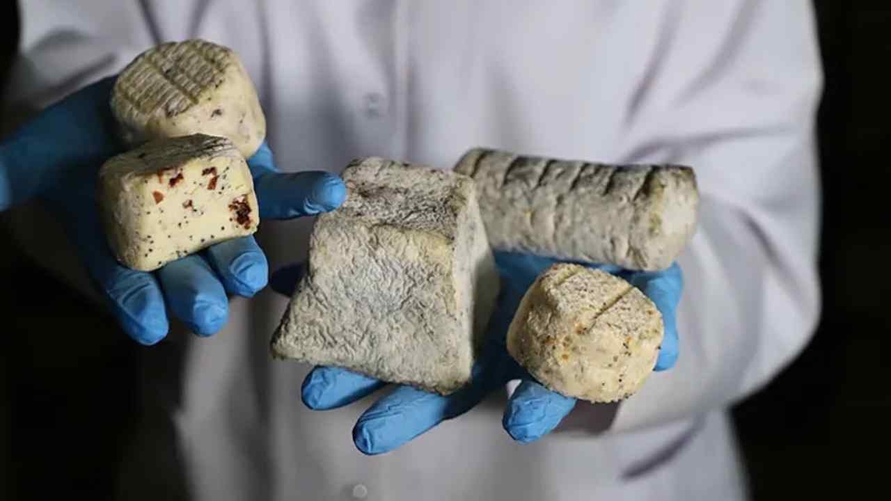 20 yıl önce Fransa'da öğrendi, köyüne getirdi: Turistler kutu kutu alıp ülkelerine taşıyor