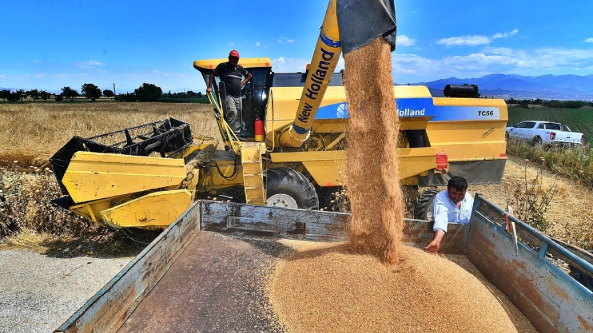 1 litre yakıta 6 kilo buğday