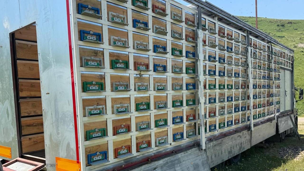 8 katlı TIR'da hasat başladı: 340 bölmeli yürüyen üretim üssü rekor kırıyor