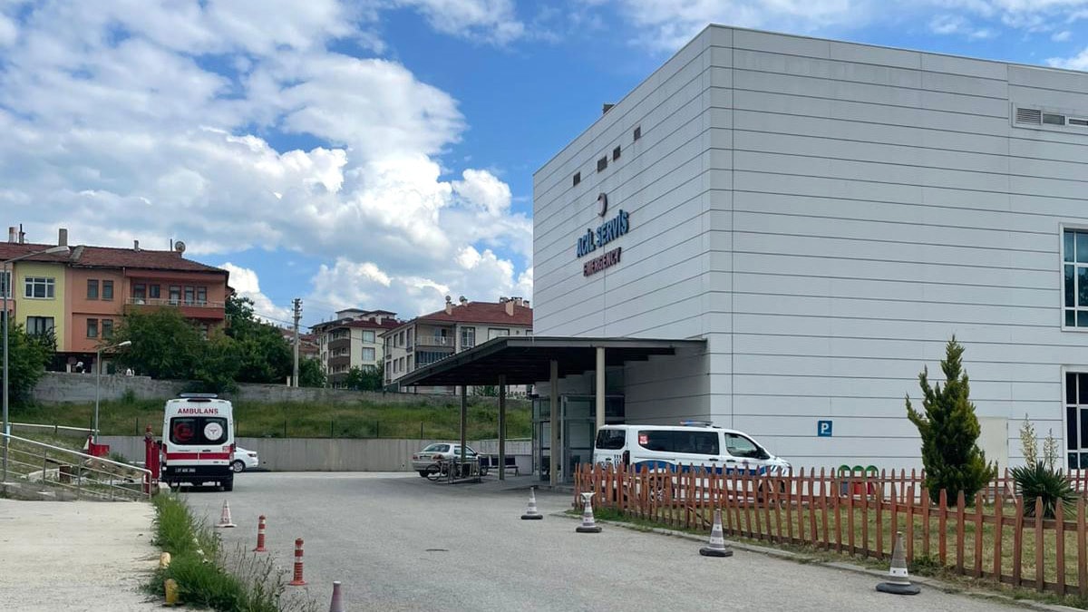 Ağaç keserken arı soktu, hayatını kaybetti