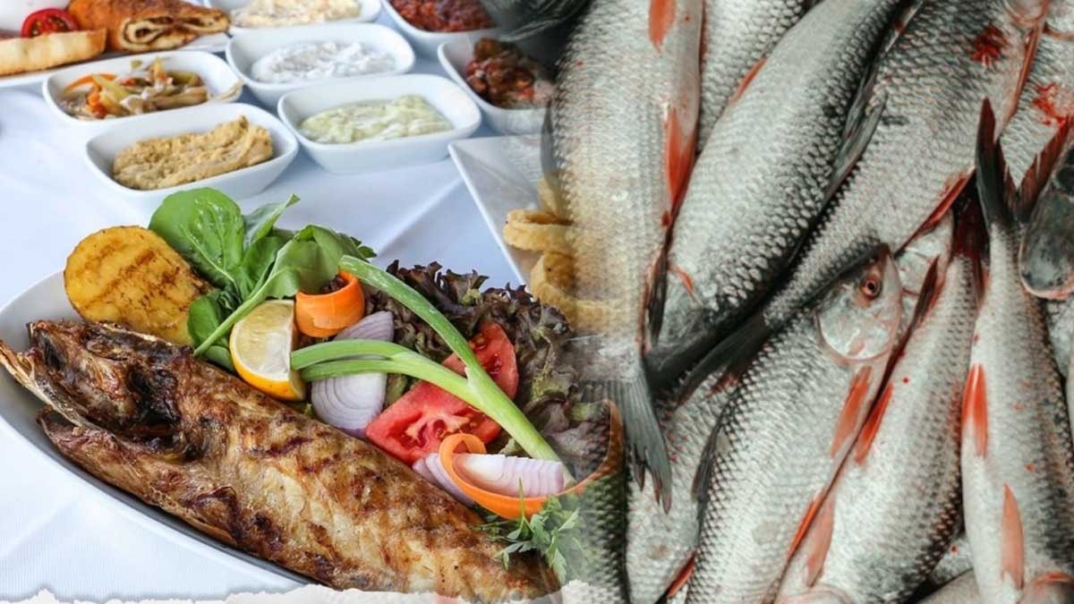 Balıkları taze diye restorana 28 bin lira ceza kestiler