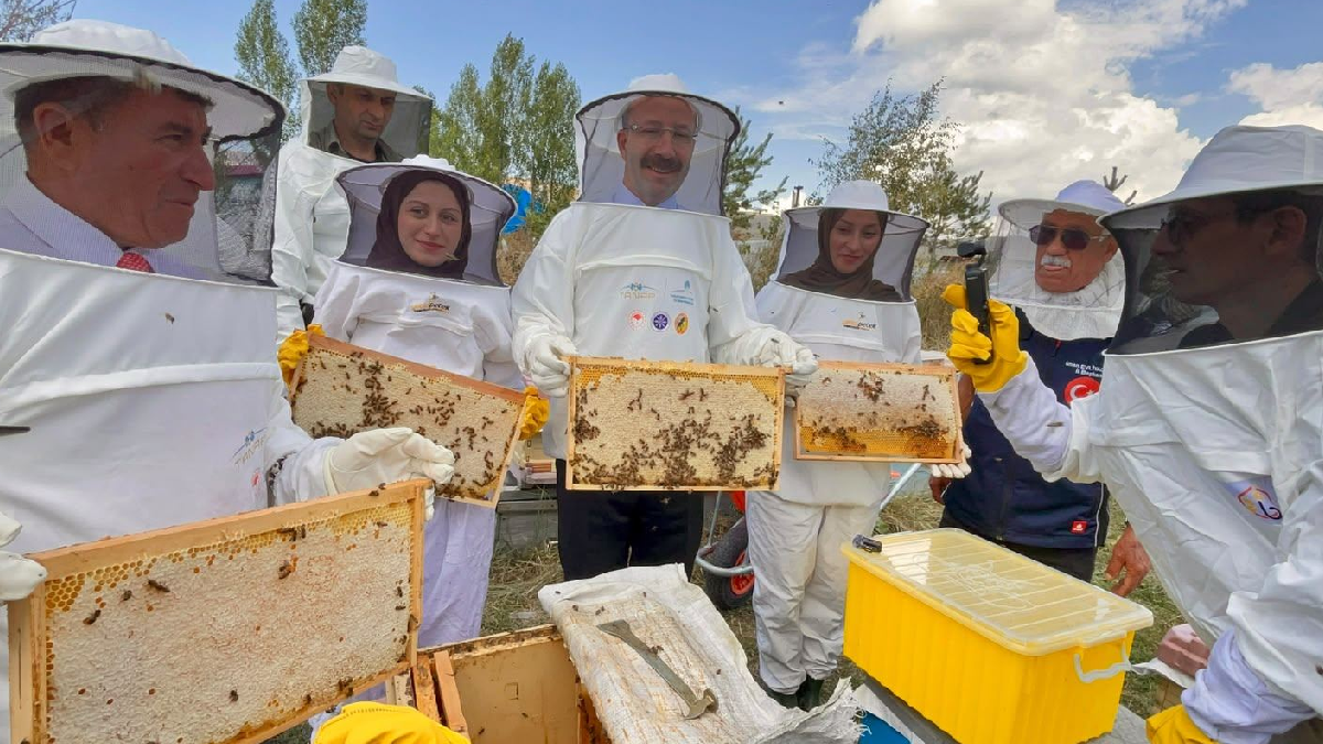 Aylarca beklediler: Ardahan’da sezonun son hasadı yapıldı