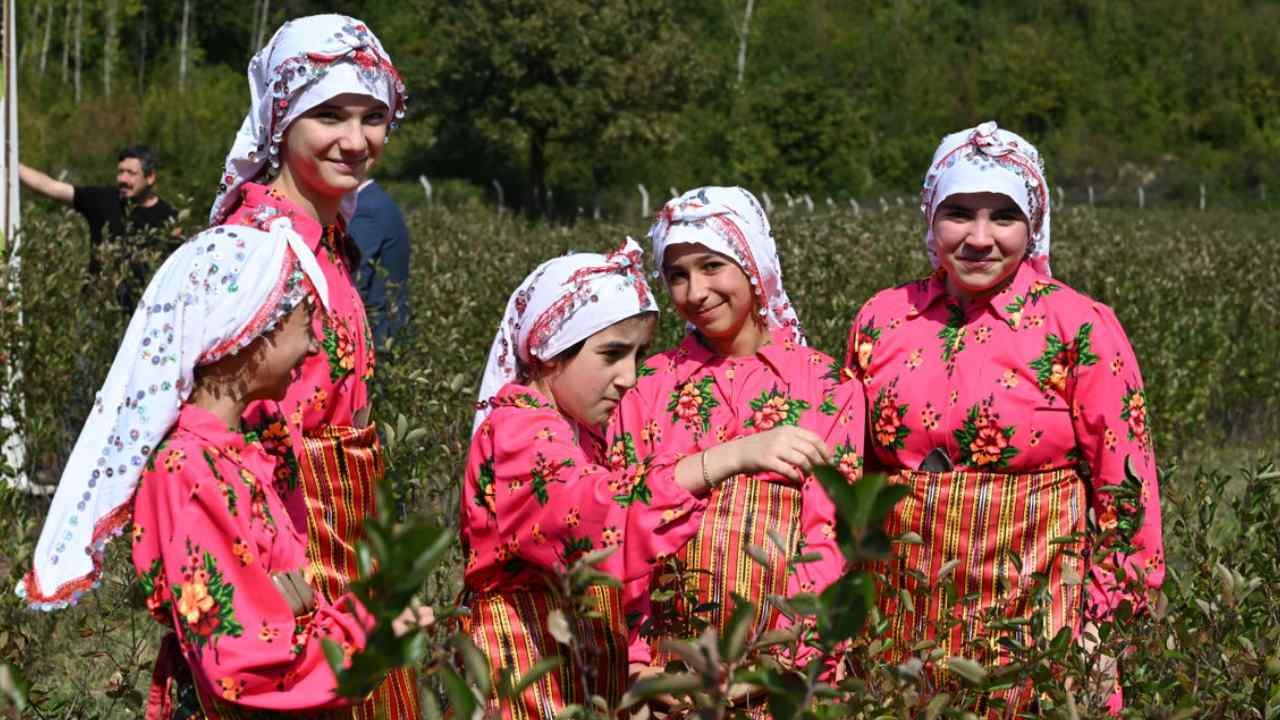 Bir fidan dikip köşeyi döndüler: Yıllardır boş kalan tarlada paraya para demiyorlar
