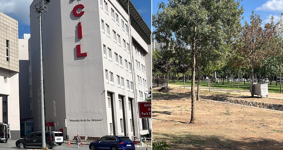 Un Hombre Apuñala 11 Veces A Su Esposa Separada Frente A Su Hija En Turquía