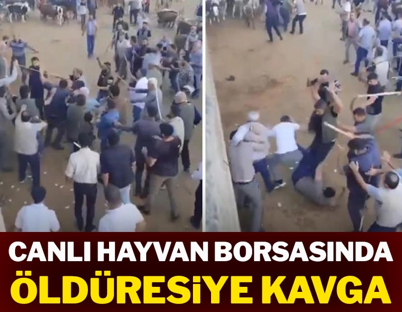 Canlı hayvan borsasında öldüresiye kavga