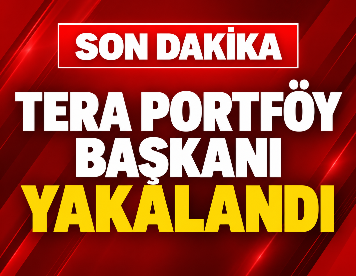 Tera Portföy Başkanı yakalandı