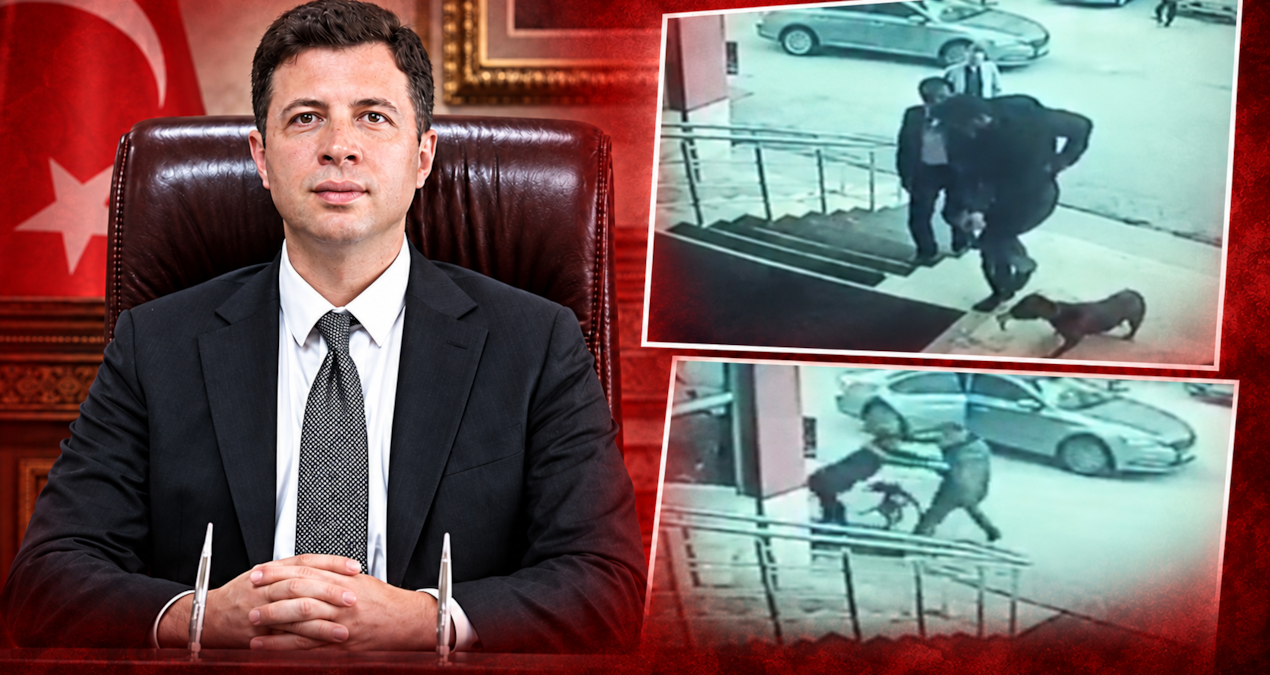 palandöken kaymakamlığı