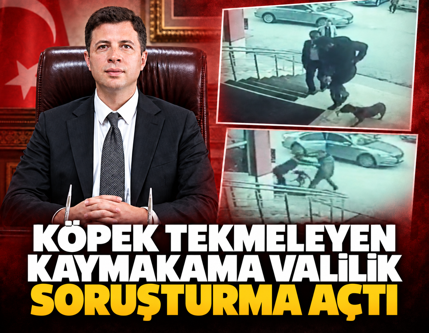 Köpek tekmeleyen kaymakama soruşturma açıldı