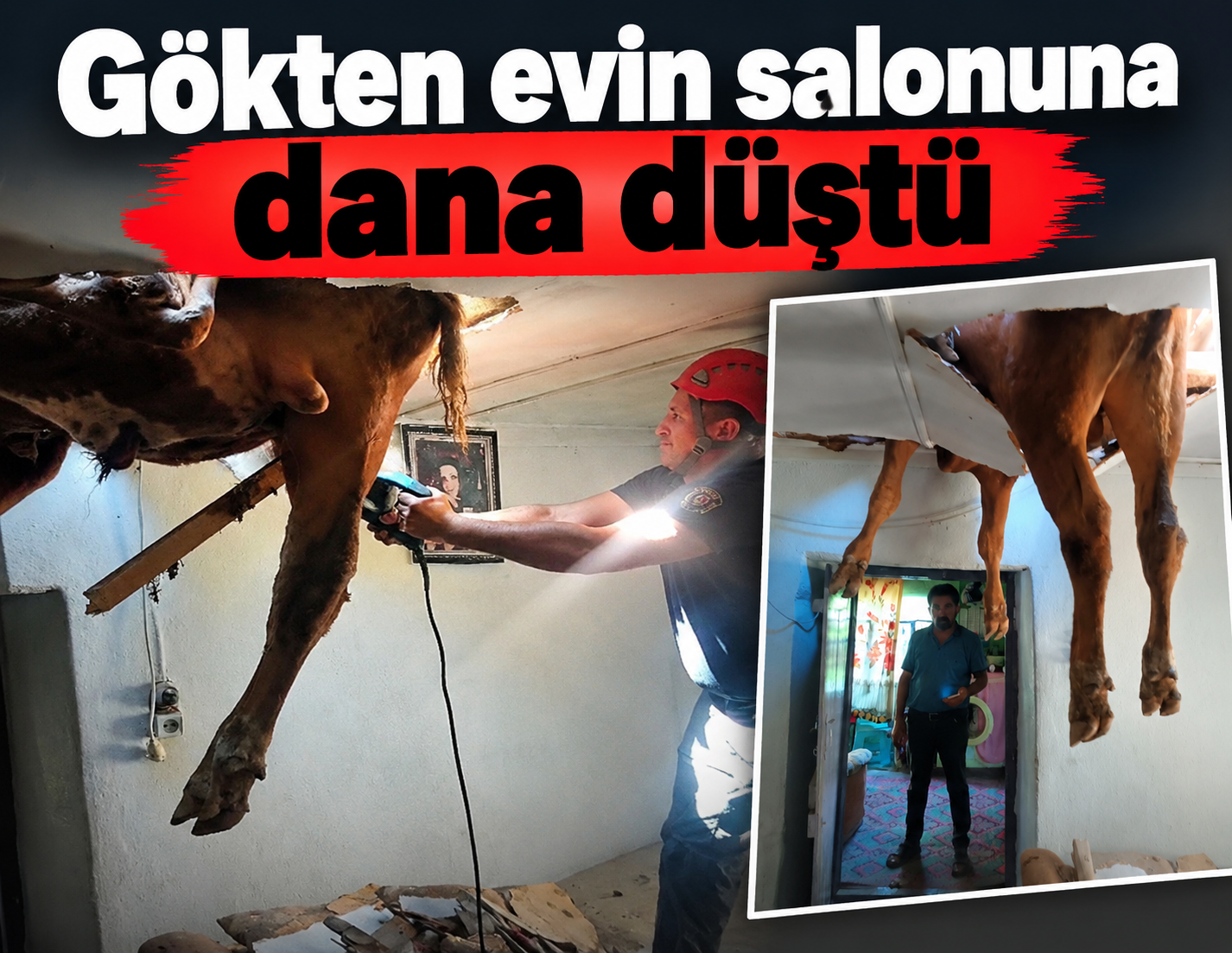 Gökten evin salonuna dana düştü