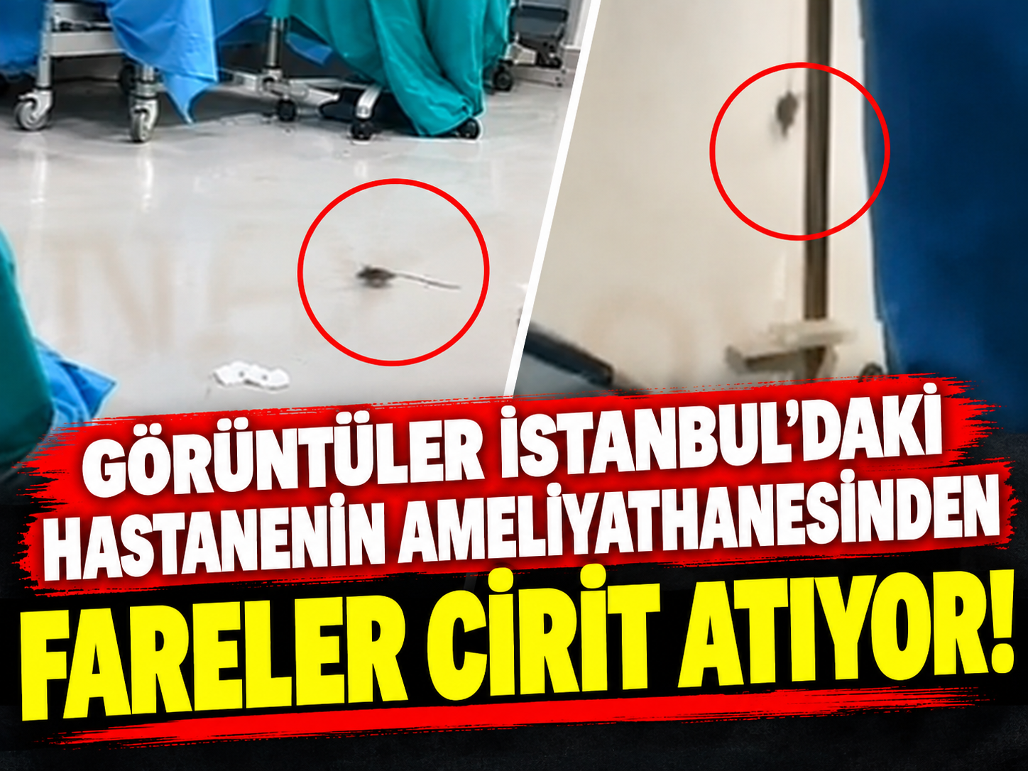 Görüntüler İstanbul'daki hastanenin ameliyathanesinden: Fareler cirit atıyor!
