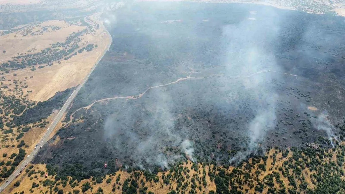 Elazığ'da korkutan orman yangını!