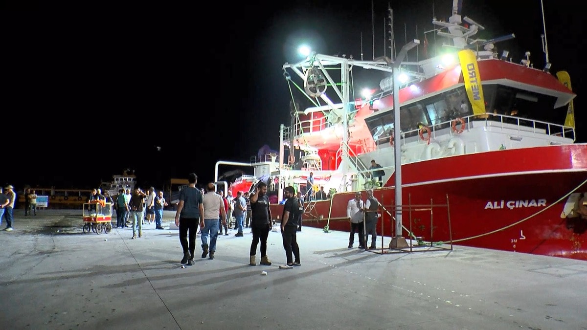 Balık avı sezonu açıldı: Palamut bolluğu var
