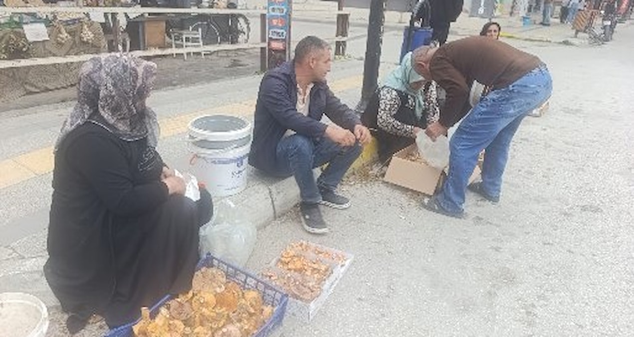 Dağdan toplayıp kilosunu 250 TL'den satıyorlar