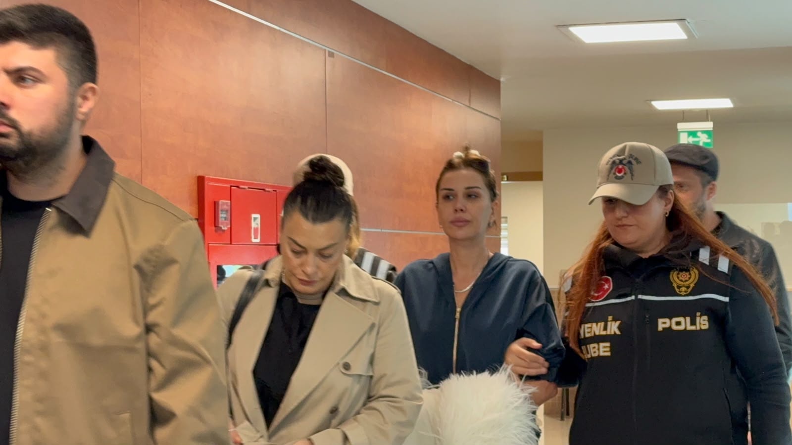 Dilan Polat, 'Cumhurbaşkanına hakaret'ten gözaltına alındı