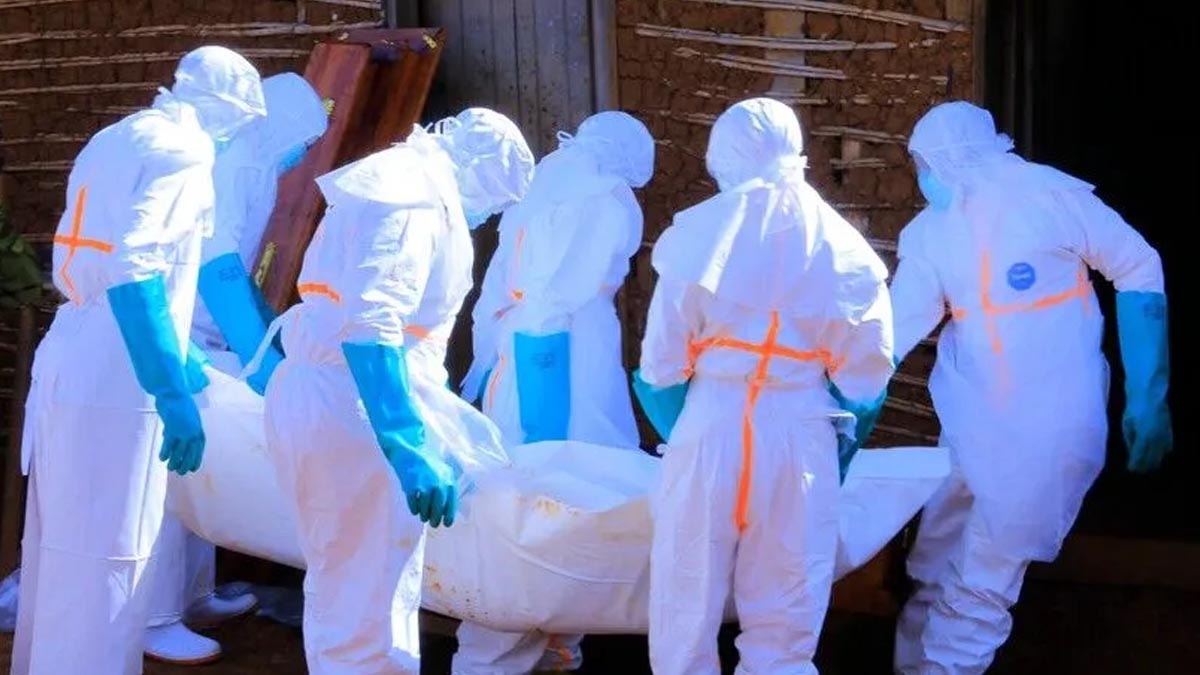 Ebola kabusu! Vaka sayısı 7 bini, vefat sayısı 3 bini geçti