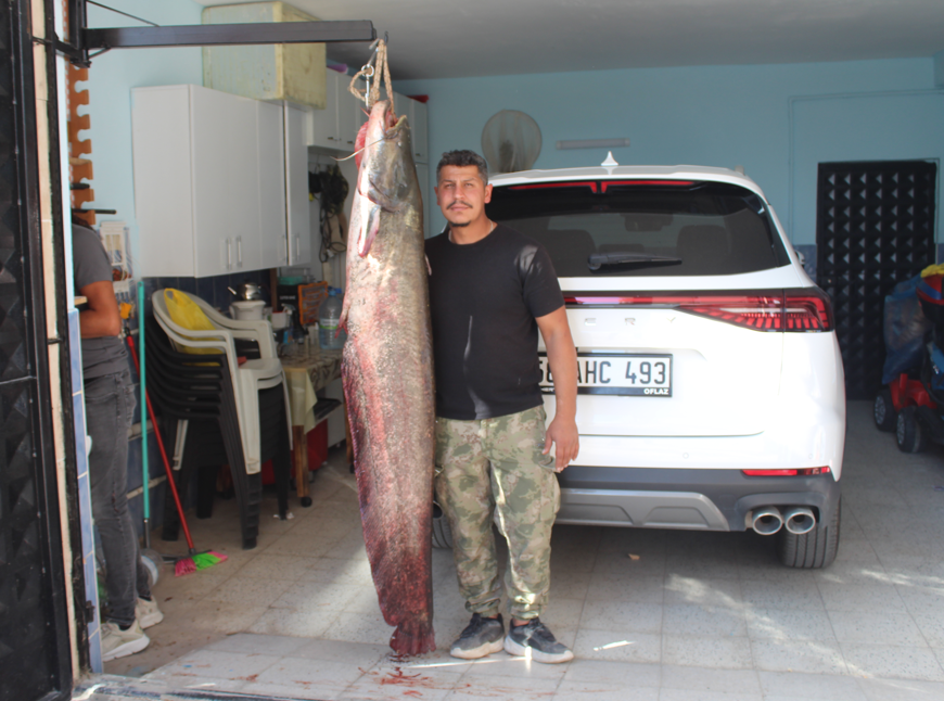 Sivaslılar derede basketbolcu boyunda balık yakaladı