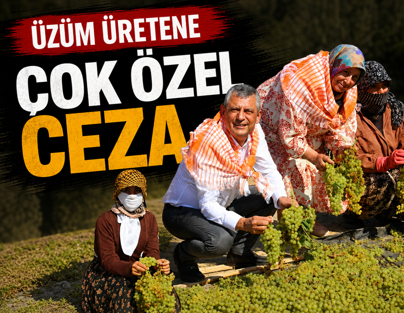 Üzüm üreticisini cezalandırdılar