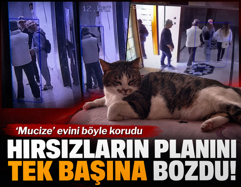 Hırsızların planını tek başına bozdu! ‘Mucize’ evini böyle korudu