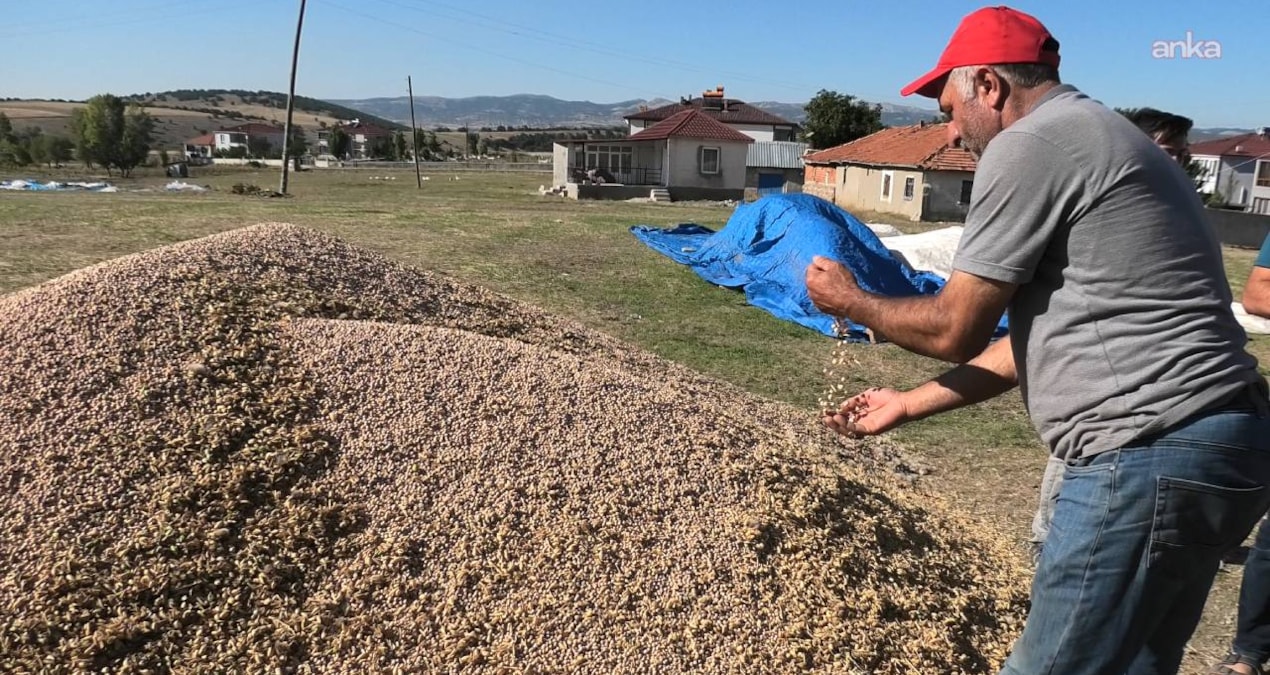 Hasat sonrası çiftçiler için bir daha ekmeyin uyarısı yapıldı