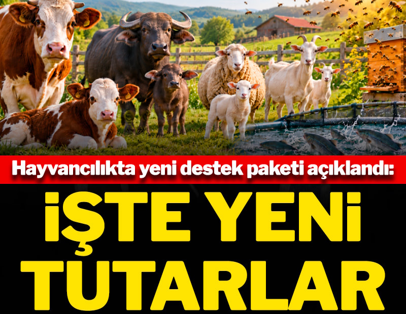 Hayvancılıkta yeni destek paketi açıklandı: İşte yeni tutarlar