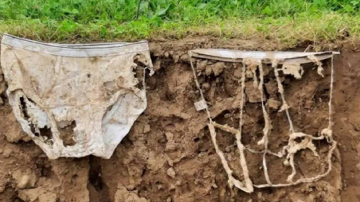 Binlerce iç çamaşırını toprağa gömdüler: İşte nedeni