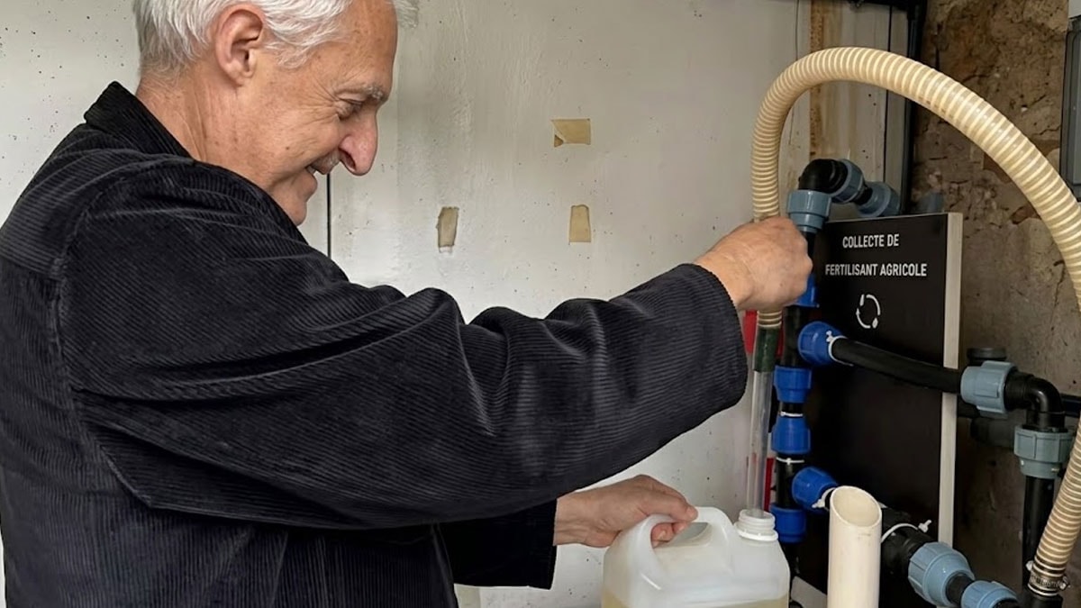 Tuvaletinizdeki gizli servet: 3 milyon litre idrarı paraya çeviriyorlar
