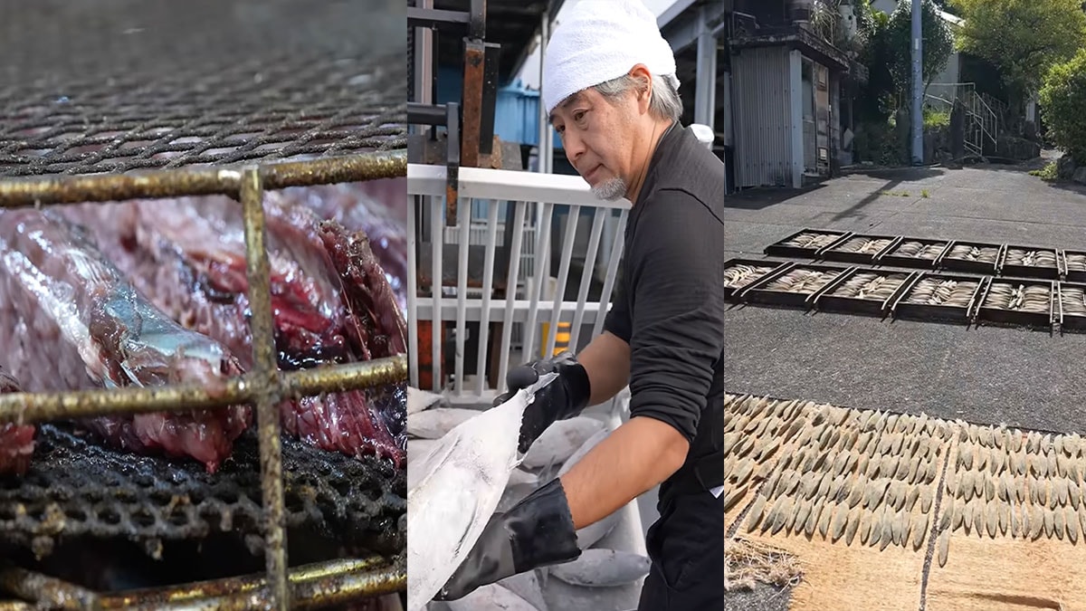 Japonlar palamudu böyle yiyor: Bıçak bile kesmiyor