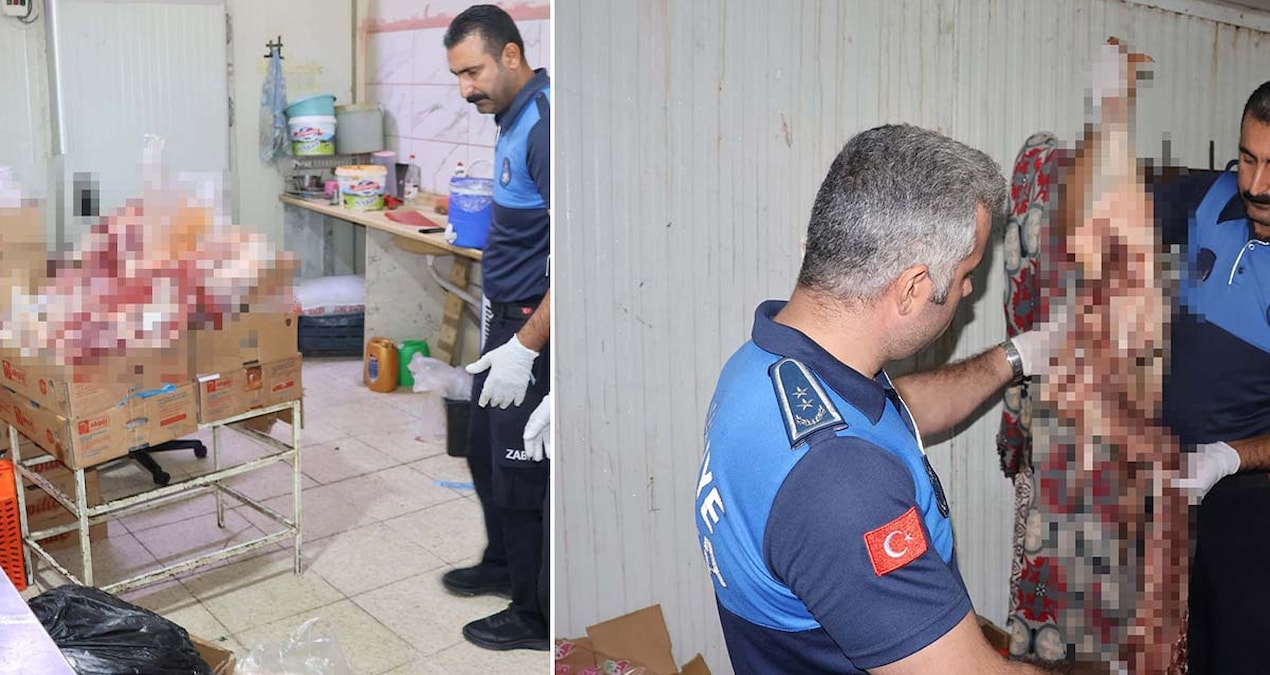 Pes dedirten görüntüler: Yakalanmasalardı vatandaş bunları yiyecekti