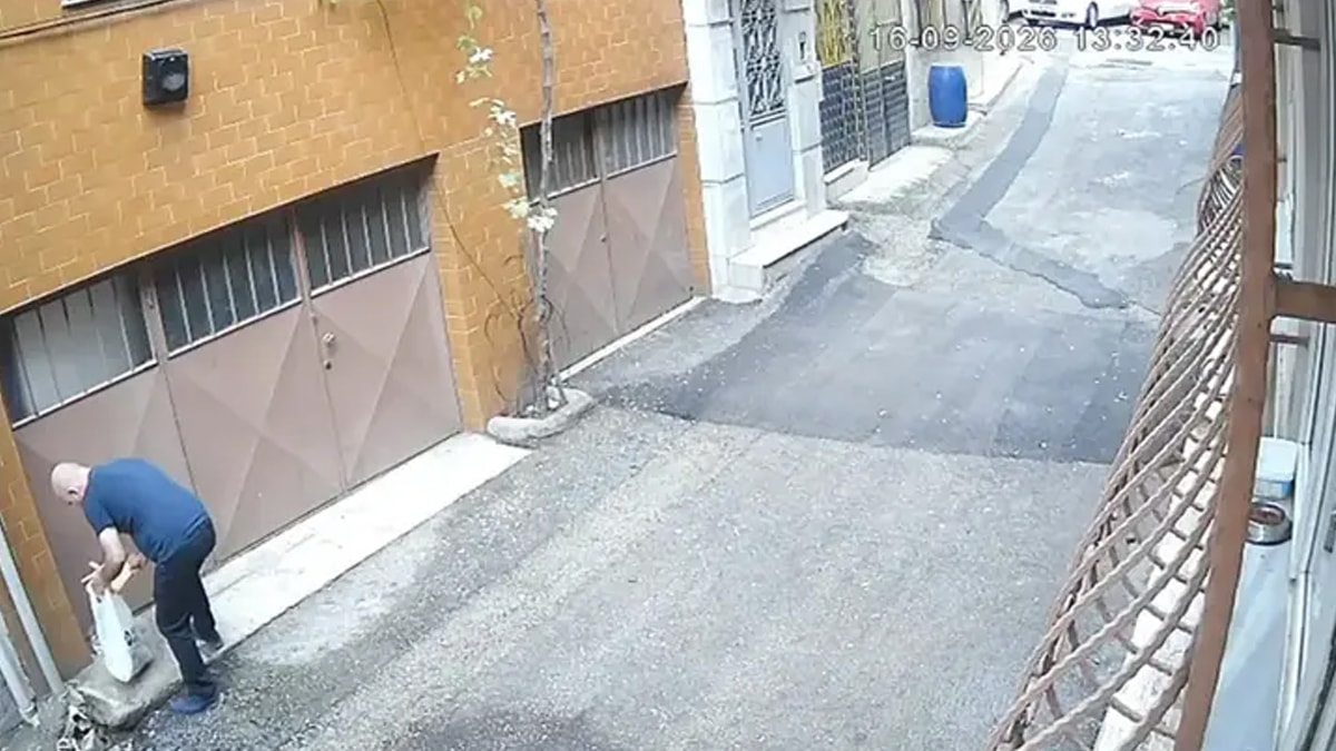 Kedilerin mama ve su kaplarını çöpe attılar