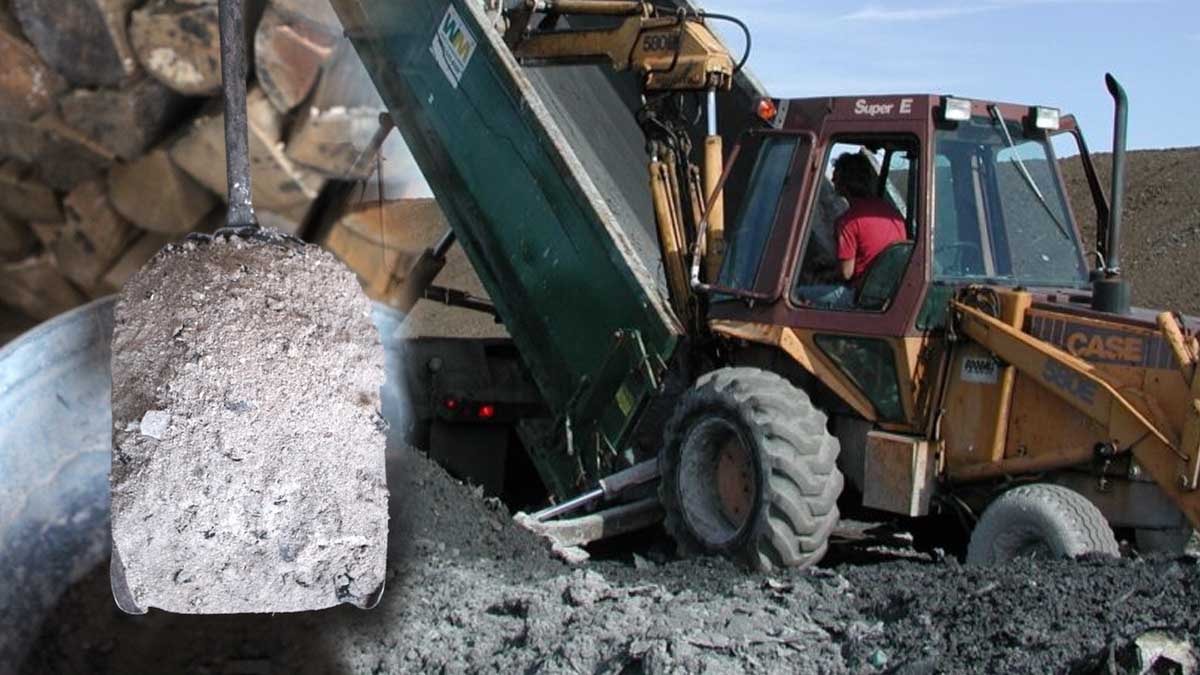 Değersiz görüp atıyorduk, içinden 100 milyar dolarlık hazine çıktı