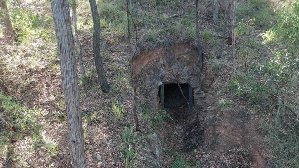 Satın aldığı arazinin altında altın madeni çıktı: Yaptığı şey herkesi şaşırttı