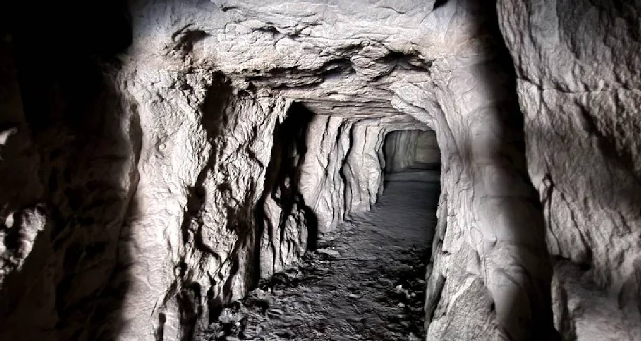 Toprağın altında binlerce ton yatıyordu: 55 yıldır dokunulmayan servet için düğmeye basıldı