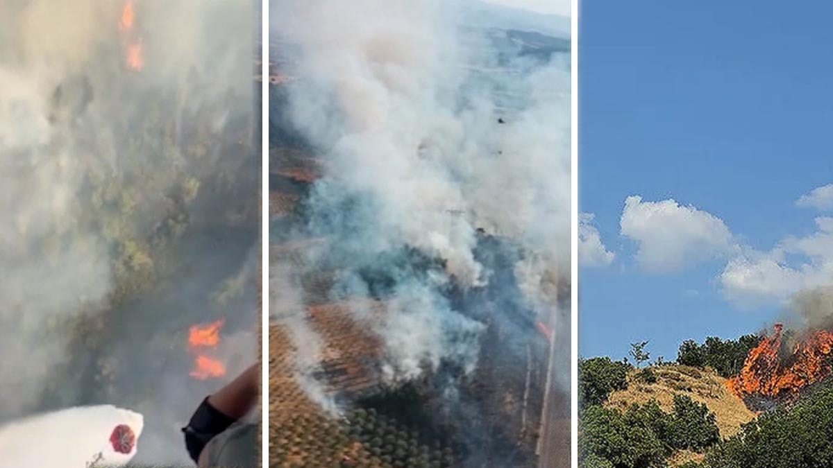 Manisa'da orman yangını