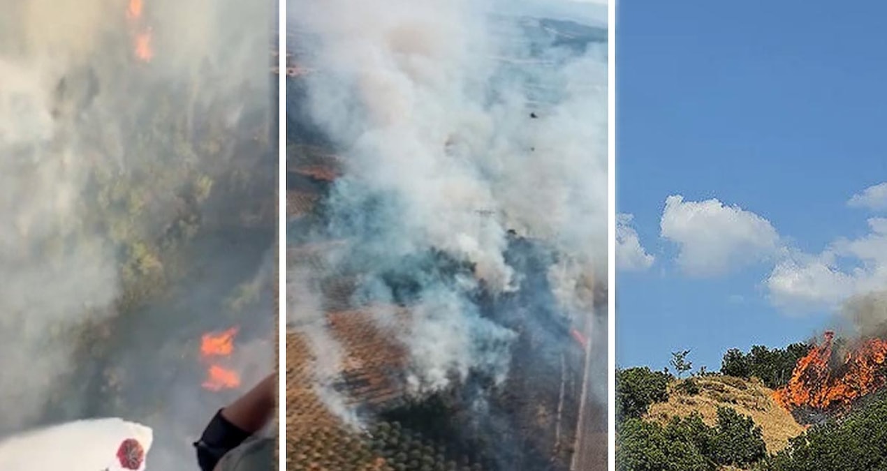 Manisa Soma'da orman yangını