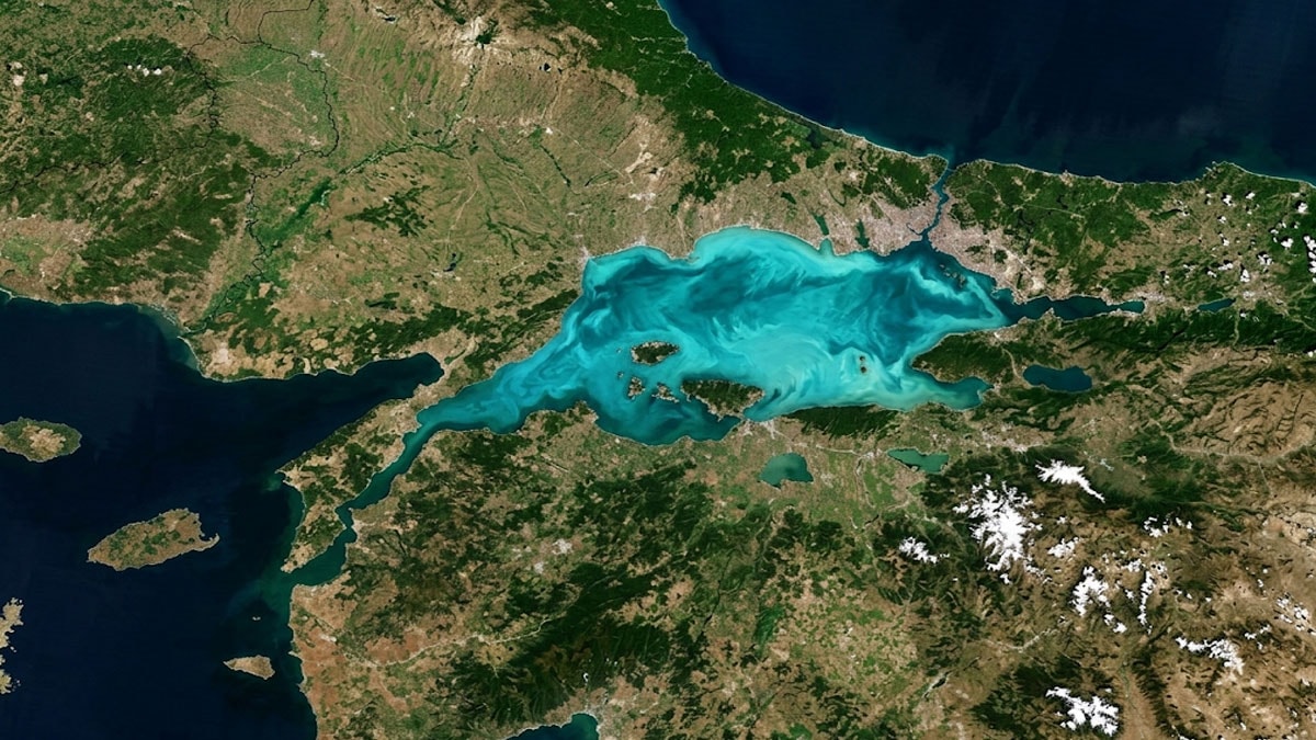 Evimizin önündeki deniz dünyanın en küçüğü